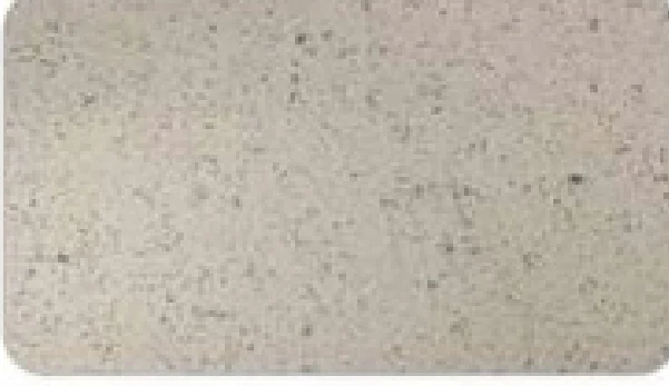 ACP / GRH Granite