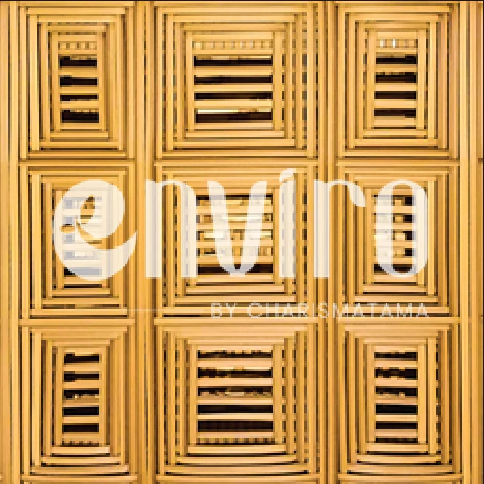 ENVIRO Pattern 41