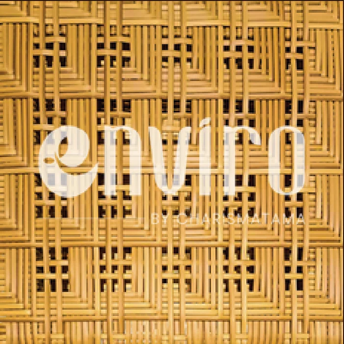 ENVIRO Pattern 42