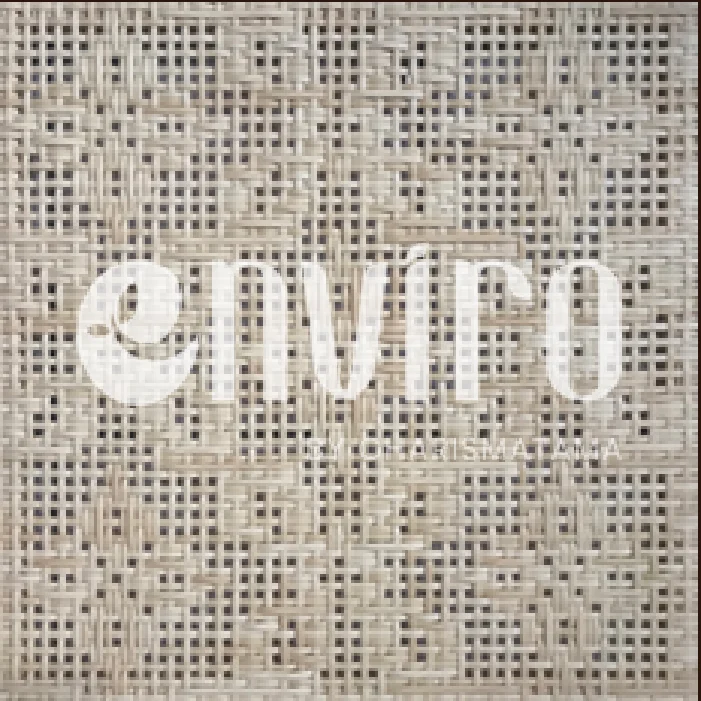 ENVIRO Pattern 53