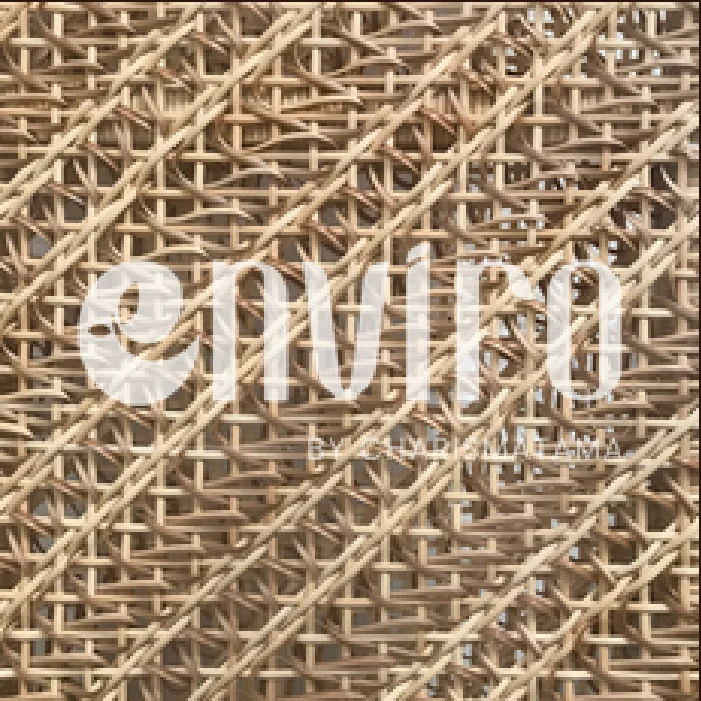 ENVIRO Pattern 54