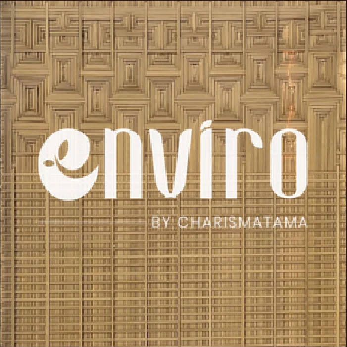 ENVIRO Pattern 65