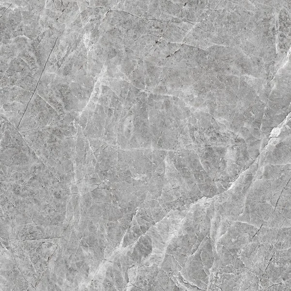QUADRA EVERBLOOM GREY