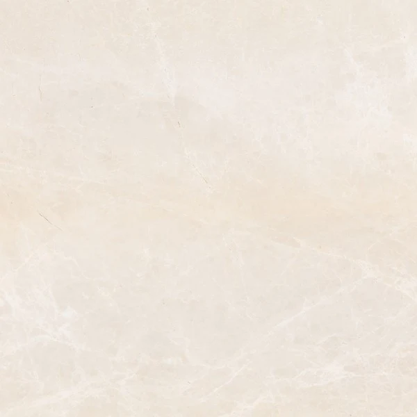 QUADRA MARQUIS PANNA