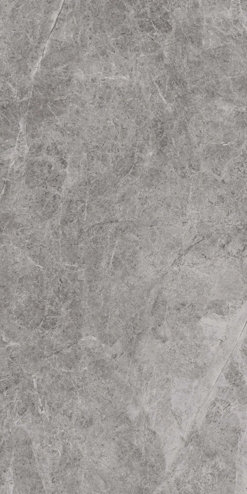 QUADRA SAVOIE GRIGIO 120X60